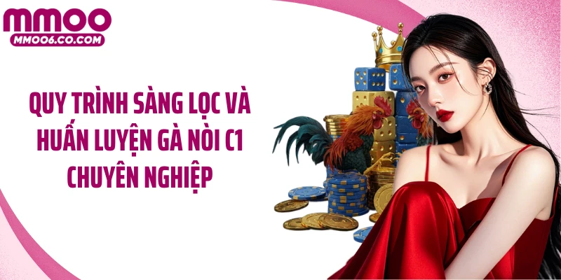 Quy trình sàng lọc và huấn luyện gà nòi C1 chuyên nghiệp